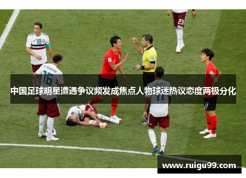 中国足球明星遭遇争议频发成焦点人物球迷热议态度两极分化