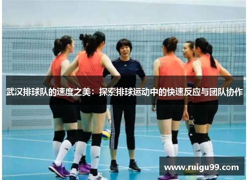 武汉排球队的速度之美：探索排球运动中的快速反应与团队协作