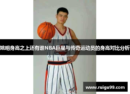 姚明身高之上还有谁NBA巨星与传奇运动员的身高对比分析