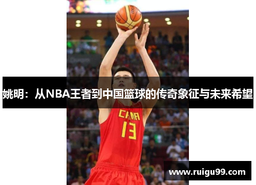 姚明：从NBA王者到中国篮球的传奇象征与未来希望
