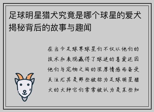 足球明星猎犬究竟是哪个球星的爱犬揭秘背后的故事与趣闻